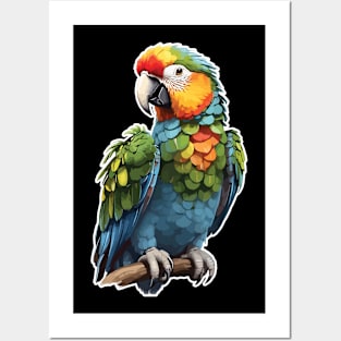 Rainbow Rhapsody Parrot Paradise Posters and Art